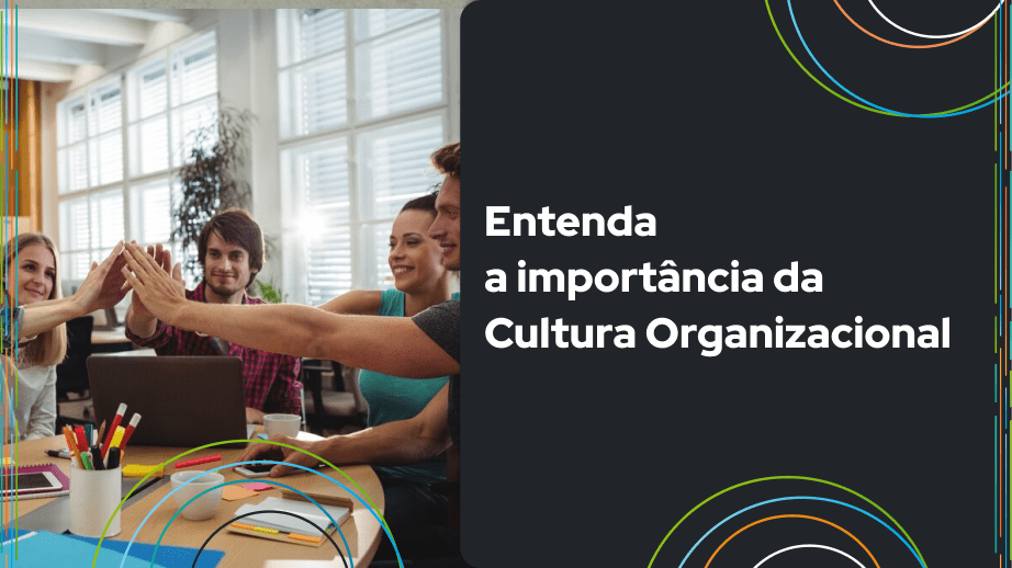 Leia mais sobre o artigo Entenda a importância da Cultura Organizacional