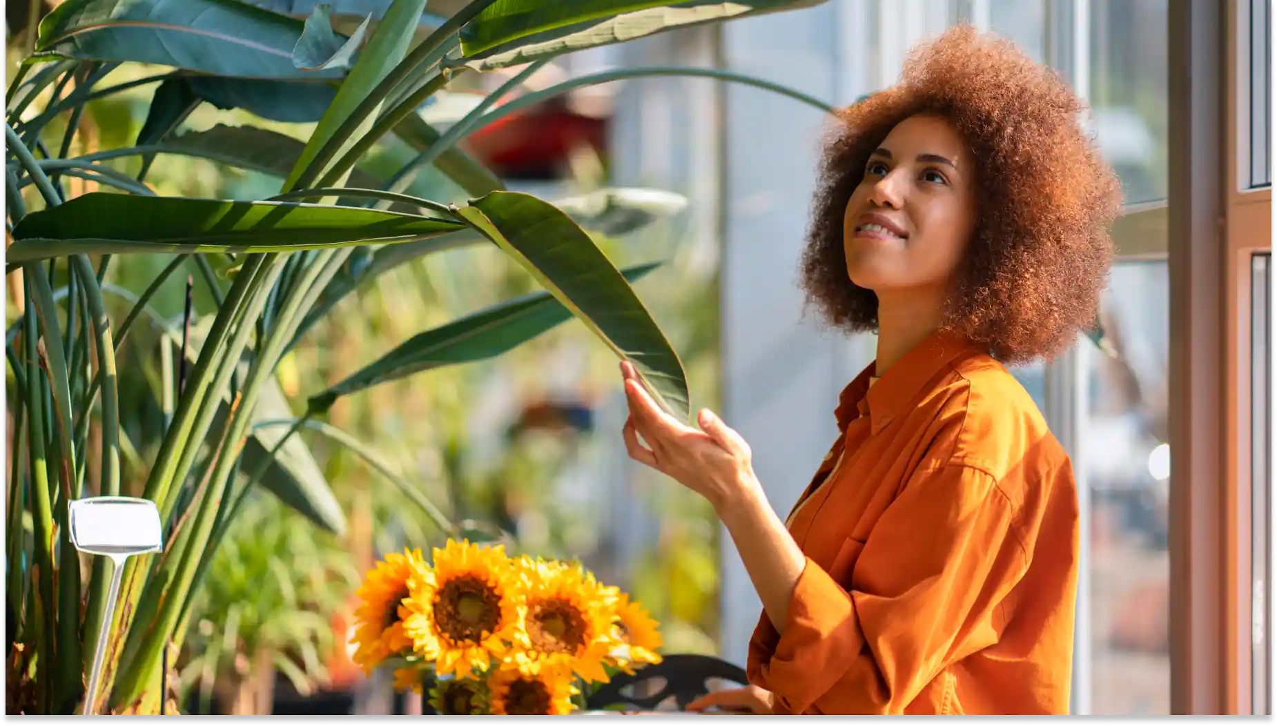 Mulher com cabelo cacheado ruivo e sorriso, apreciando plantas e girassóis em ambiente com muita luz natural, promovendo bem-estar e habilidades verdes.